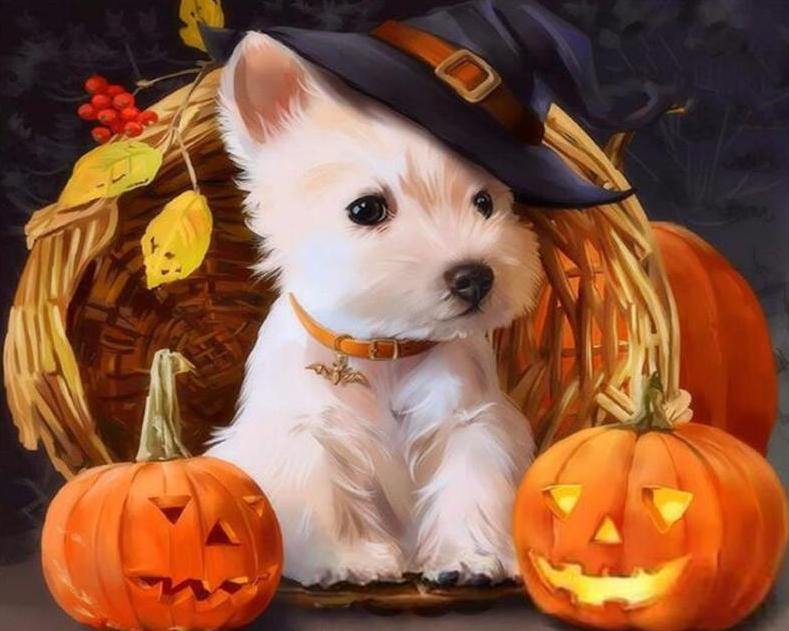 Puppy on Halloween Paint by Numbers