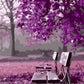 Purple Trees Paint by Numbers
