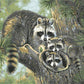 Raccoon Family Paint by Numbers