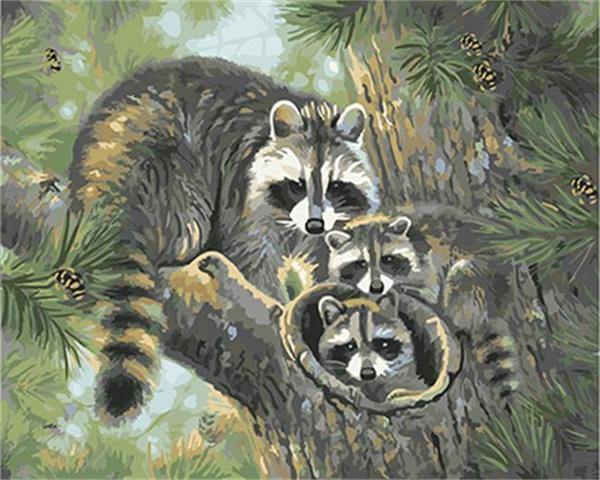 Raccoon Family Paint by Numbers