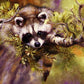 Raccoon Paint by Numbers Kit