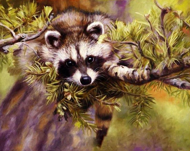 Raccoon Paint by Numbers Kit