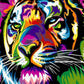 Rainbow Tiger Paint by Numbers