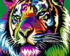 Rainbow Tiger Paint by Numbers