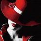 Red Hat Lady Paint by Numbers