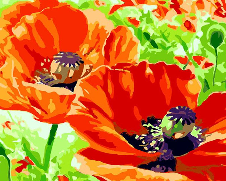 Red Poppies Paint by Numbers