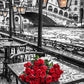 Roses Paint by Numbers for Adults
