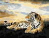 Resting Tiger Painting by Numbers