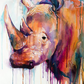 Rhino DIY Painting Kit
