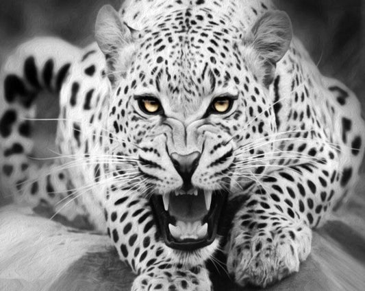 Leopard Painting by Numbers