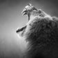 Roaring Lion Paint by Numbers