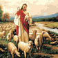 Saint & Sheep Paint by Numbers
