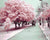 Sakura Trees Paint by Numbers