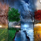 Seasons of the Year Paint by Numbers