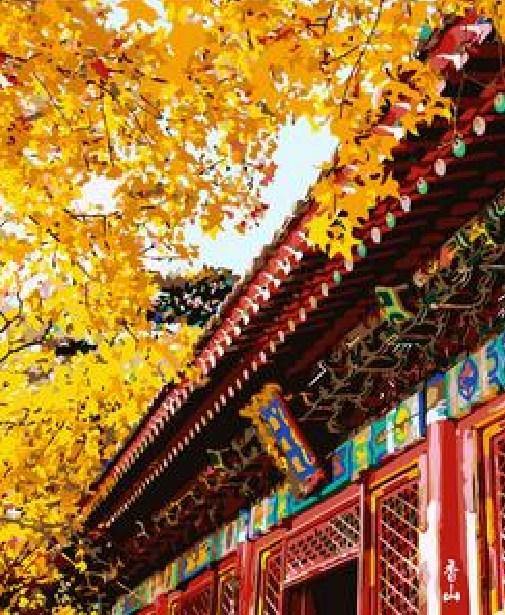 Shrine Paint by Numbers Kit
