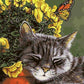 Sleepy Cat & Flowers Paint by Numbers