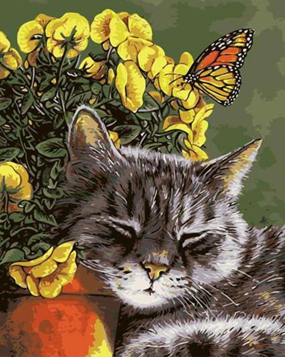 Sleepy Cat & Flowers Paint by Numbers