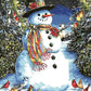 Snowman & Birds Paint by Numbers