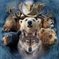 Spirit Animals Paint by Numbers