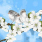 Spring Birds Paint by Numbers