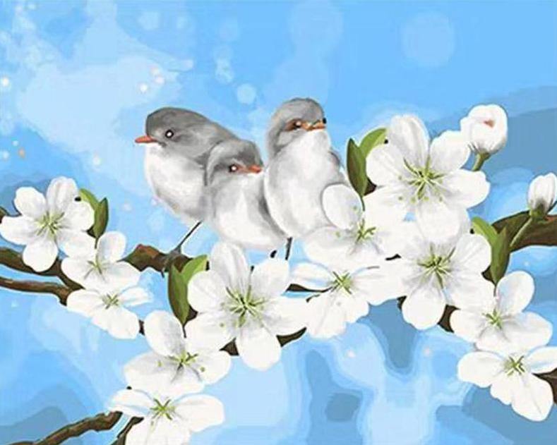 Spring Birds Paint by Numbers