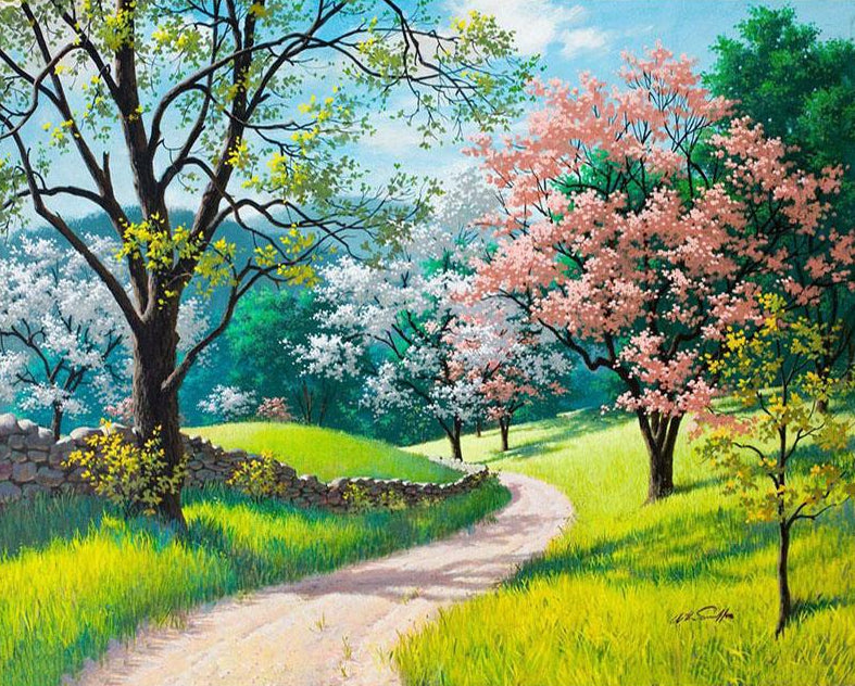 Spring Trees & Pathway Scenery