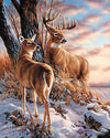 Stag &amp; Deer Paint by Numbers