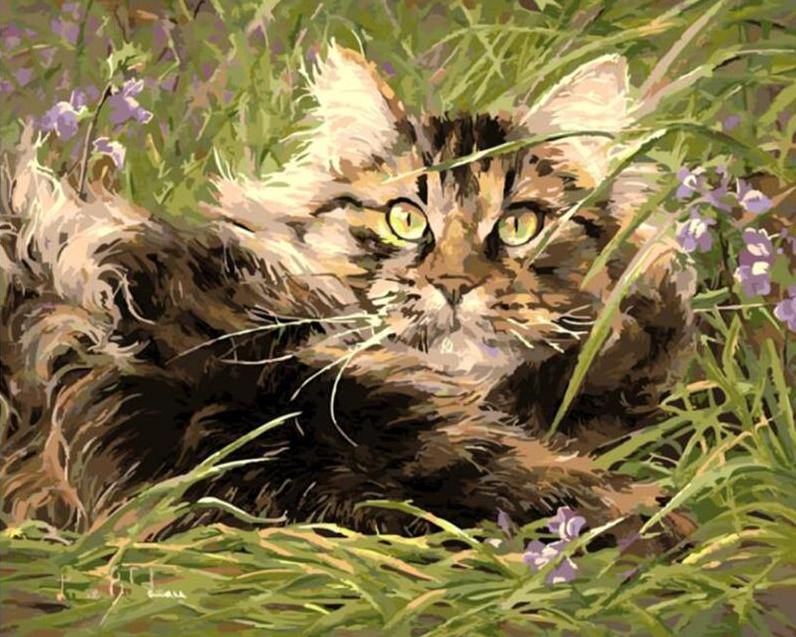 Starring Cat Painting by Numbers