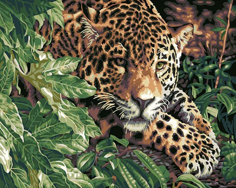 Leopard Paint by Numbers Kit