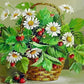 Strawberry Flowers Paint by Numbers