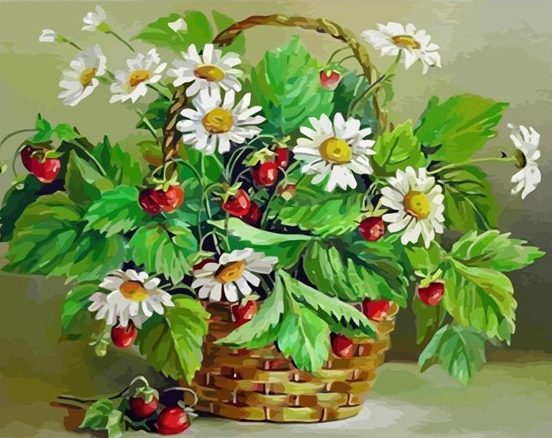Strawberry Flowers Paint by Numbers