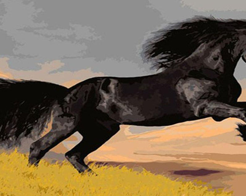 Stunning Black Horse Paint by Numbers