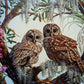 Stunning Owls Pair Paint by Numbers