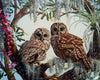 Stunning Owls Pair Paint by Numbers