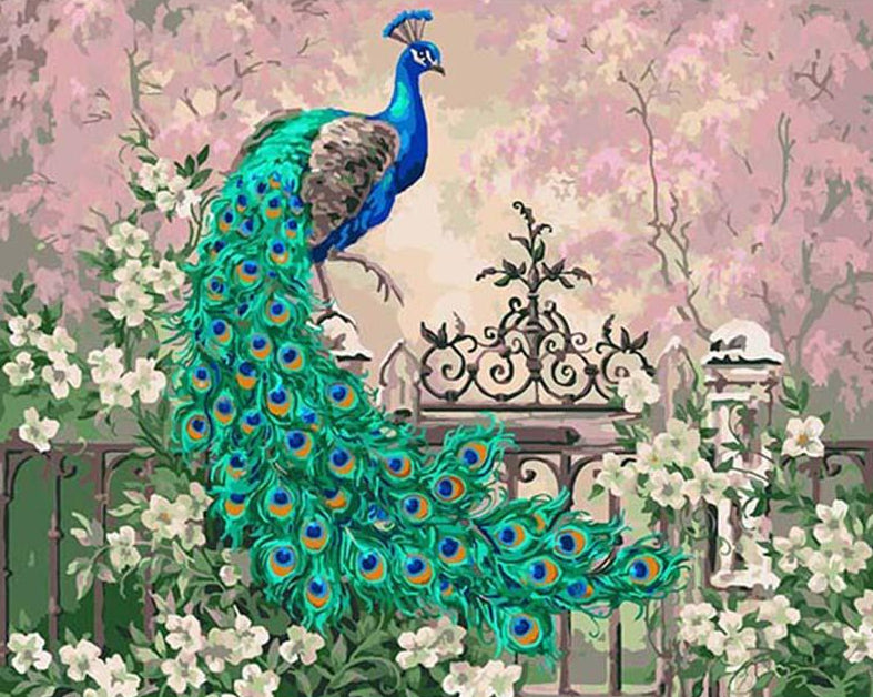  Peacock & Flowers Paint by Numbers