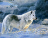 Stunning Snow Wolf Paint by Numbers