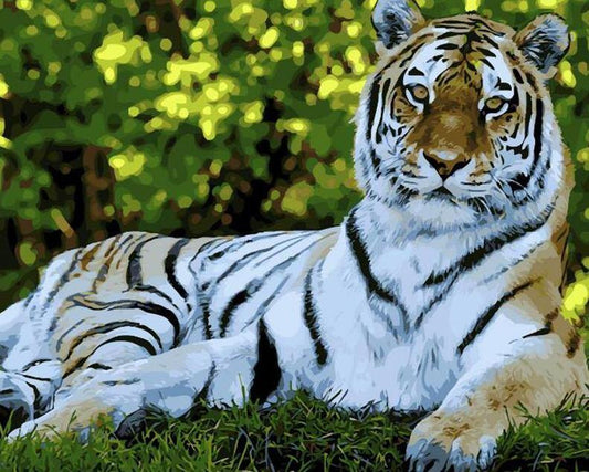 Stunning Tiger Paint by Numbers