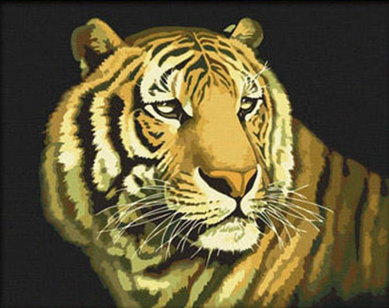 Stunning Tiger Stare Paint by Numbers