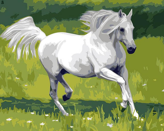 White Horse Paint by Numbers