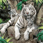 White Tiger Paint by Numbers