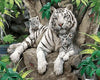 White Tiger Paint by Numbers