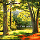 Summer Forest DIY Painting Kit