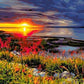 Sunset View Paint by Numbers