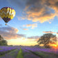 Sunset View Paint by Numbers
