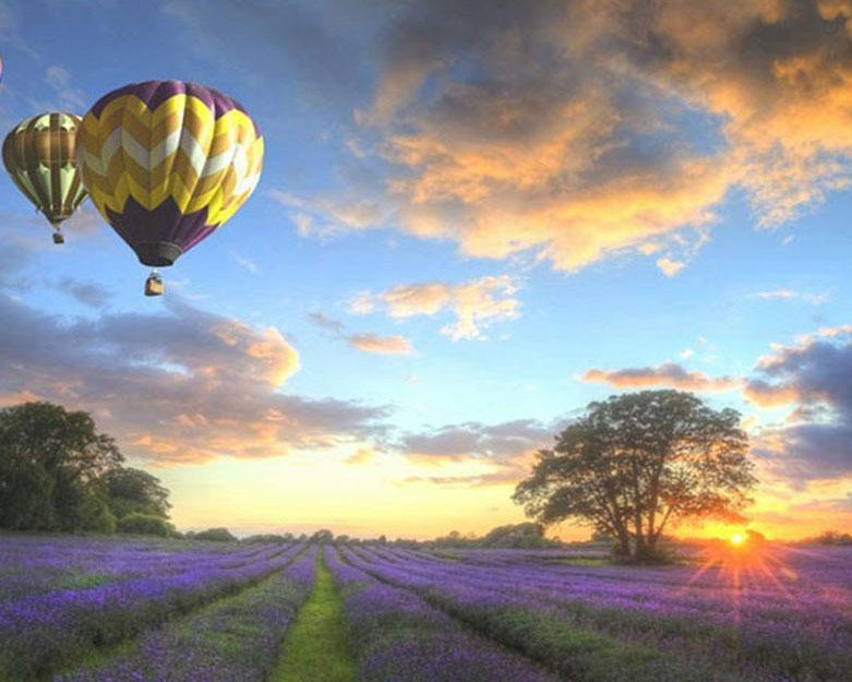 Sunset View Paint by Numbers