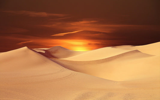 Sunset & Desert Paint by Numbers