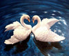 Swans Couple Painting by Numbers