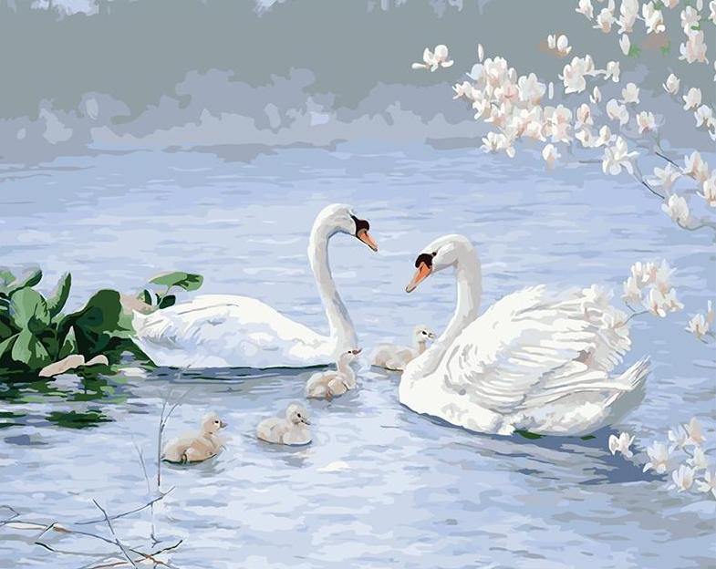 Swans Family Paint by Numbers