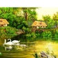 Swans & Green Forest Painting Kit