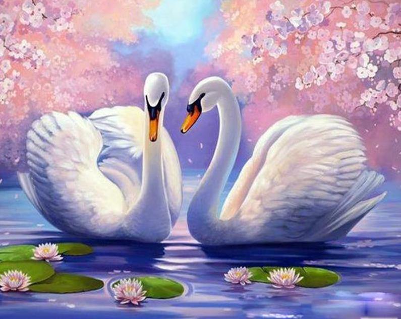 Swans & Lotus Paint by Numbers